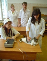 university_11