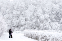 winter_3